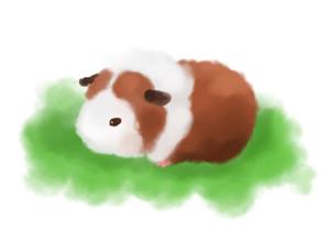 2018.7るーちゃん.jpg