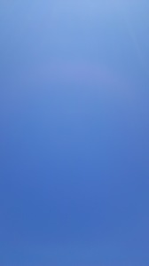 DSC_8691.JPG