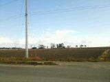 img20131231024920661.jpg