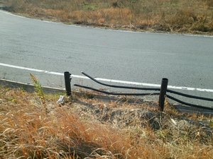 img20131231025402359.jpg