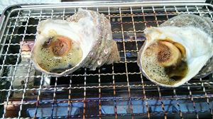 img20140615224717467.jpg
